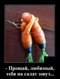 1675555350_www-funnyart-club-p-smeshnaya-morkov-yumor-5.jpg