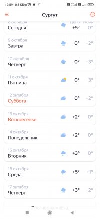 Screenshot_2024-10-08-12-59-42-322_ru.yandex.weatherplugin.jpg