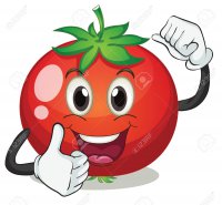 15592052-illustration-of-tomato-on-a-white-background-Stock-Vector-cartoon-tomato-vegetable.jpg